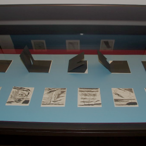 Alina Kalczyńska (wystawa) 3